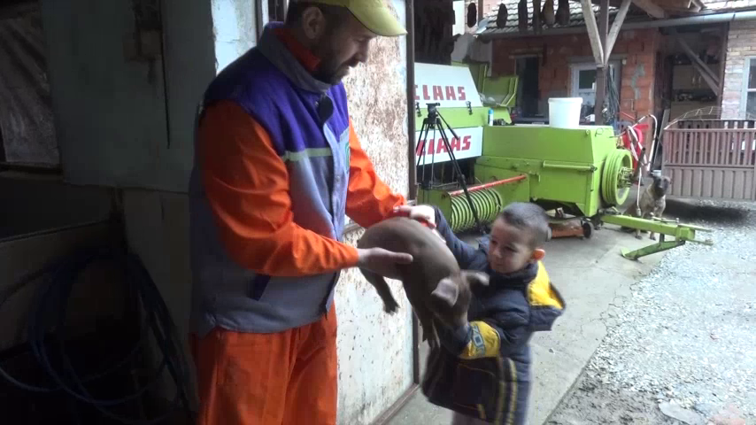 Svinjogojska farma Kovačević dokaz da ima nade za mlade stočare