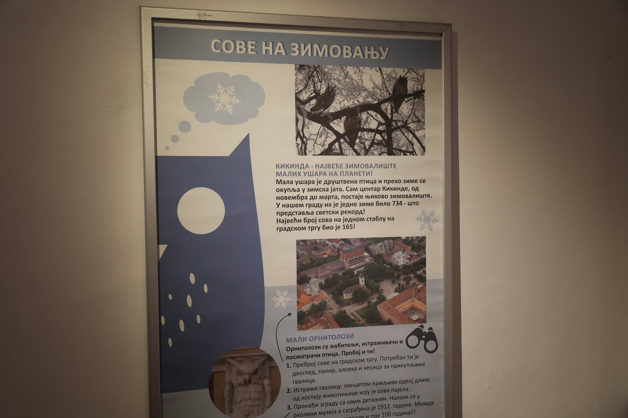 Bogat sadržaj “Sovembra”: U Narodnom muzeju otvorena izložba o sovama